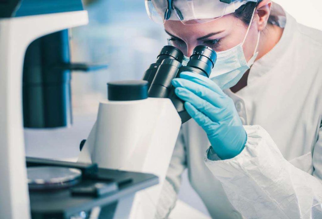 Fellowship Grants Conclude Successfully