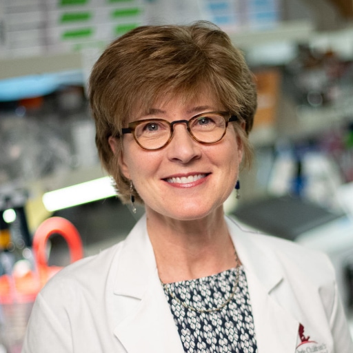 Suzanne Baker, PhD, Chair